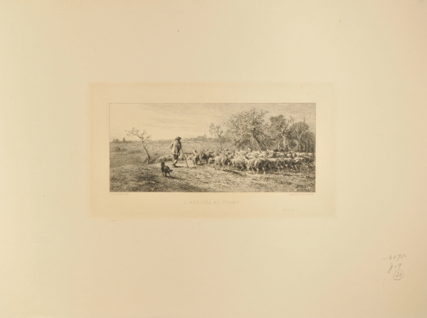 ARRIVAL AT THE FIELD