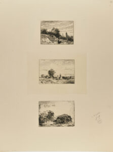 Le Buisson: Paysage; Paysage; Porcs couchés