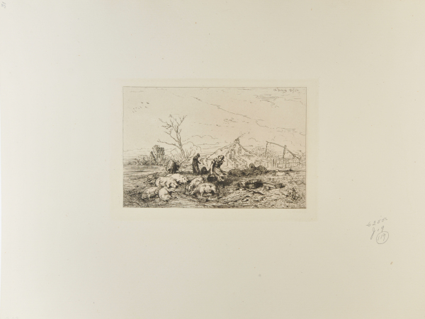 LANDSCAPE: HERD OF PIGS