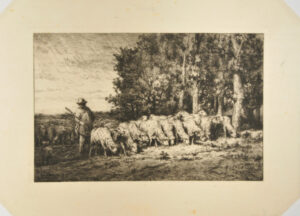 Troupeau à la lisière d’un bois