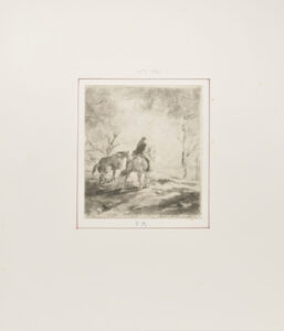 Paysage: Chevaux