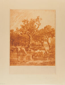 Vaches à l’abreuvoir