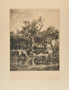 Vaches à l’abreuvoir