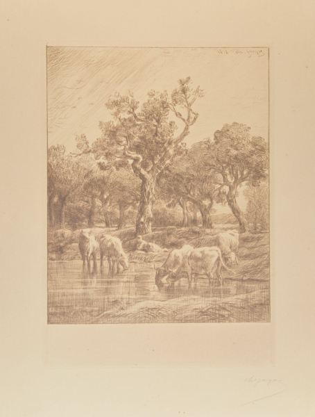 COWS AT THE WATERING PLACE