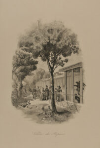 Volière des rapaces