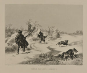 Battue aux loups (Hongrie)