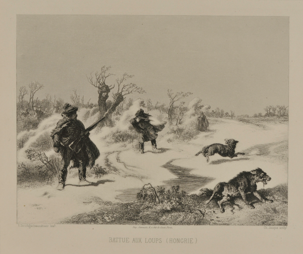 Battue aux loups (Hongrie)