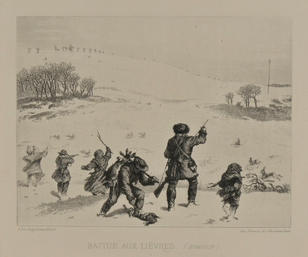 Battue aux lièvres (Hongrie)