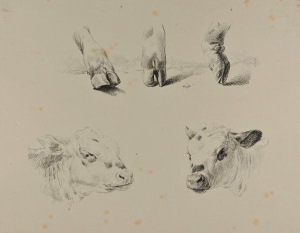 THREE HOOVES AND TWO COW HEADS