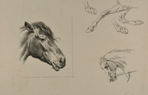 Horse heads and hooves
