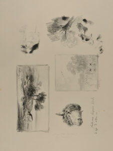Quatre feuilles d’essai de cette série contiennent des croquis restes inédits