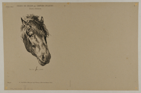 Mule with saddle, sheep’s head - Image 2