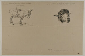 Mule with saddle, sheep’s head