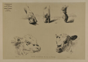 Three hooves and two cow heads