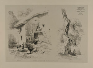 Chicken coop and tree trunk