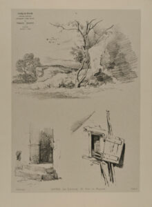 Trees and rocks, doorstep, window