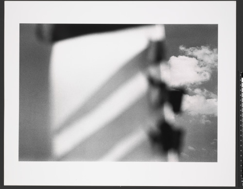 Pictus Interruptus - Image 4