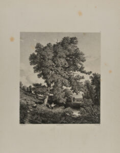 Landscape with Man Fishing under a Tree