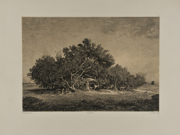 Un Four dans les Landes