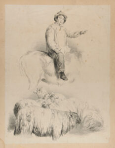 Studies of sheep and shepherd