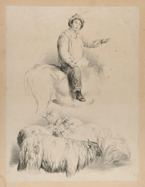STUDIES OF SHEEP AND SHEPHERD