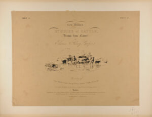 Title plate from the series “Studies of Cattle, drawn from nature”