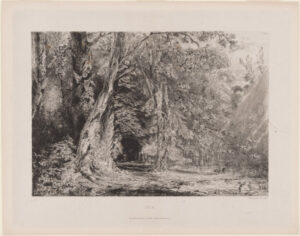 Saulée aux Environs de Paris