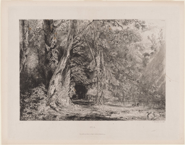 Saulée aux Environs de Paris - Image 1