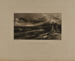 A Forest Near Vossevangen