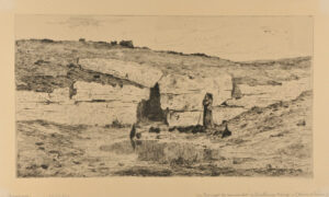 Un Terrier de renard à Château-Neuf (Seine et Loire)