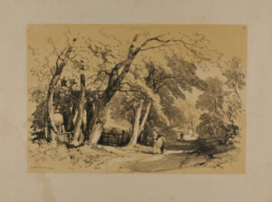 Near Burford Bridge, Surrey