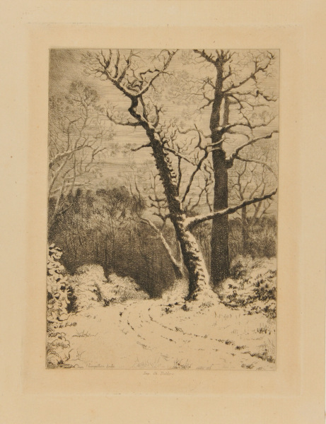 ROAD IN THE FOREST, DURING WINTER