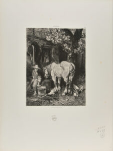 Horse Drinking from a Trough