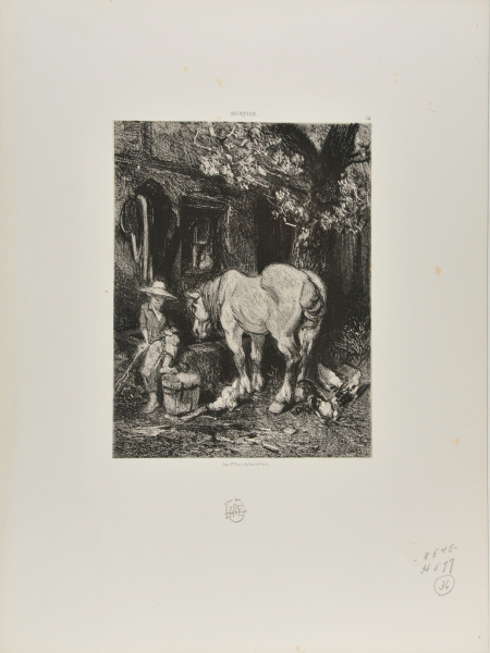 HORSE DRINKING FROM A TROUGH