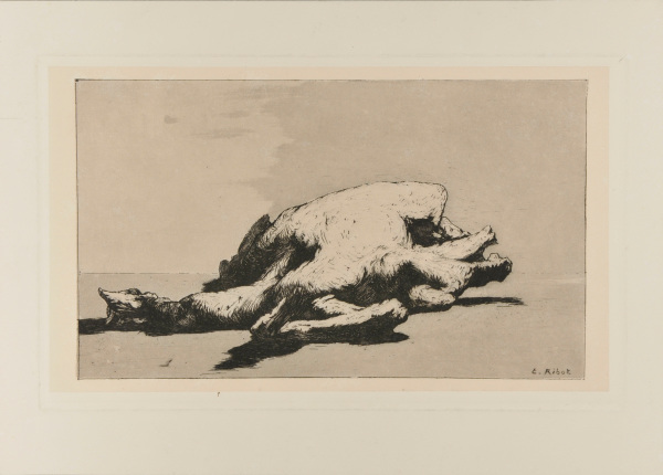 Nature morte - Image 2