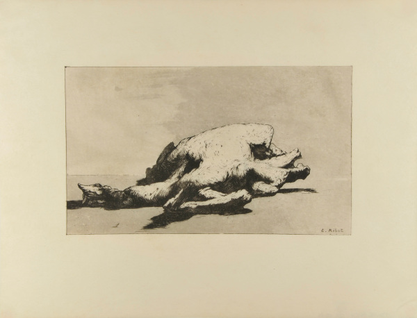 Nature morte - Image 2