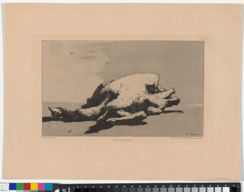 Nature morte - Image 1