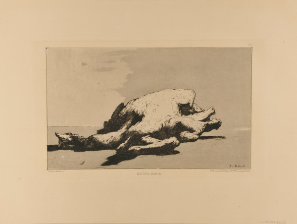 Nature morte - Image 2