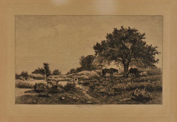 Sabotiers dans le Bois de Quimerch