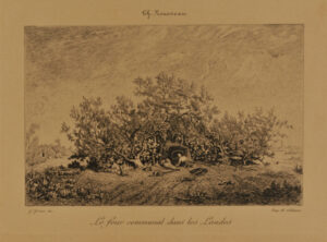 Le Four communal dans les Landes