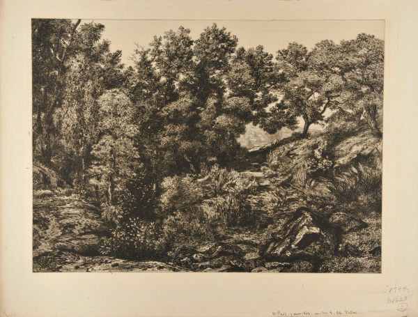 Près Villars (Puy-de-Dôme)