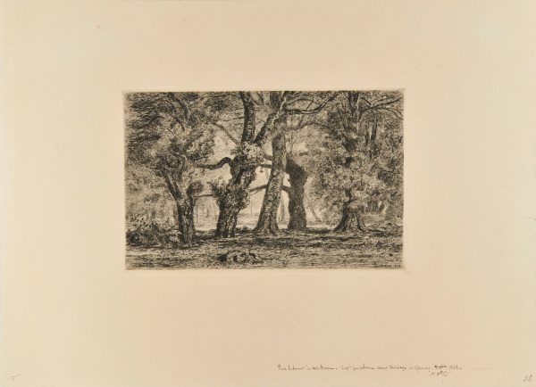 Souvenir of Bas-Bréau