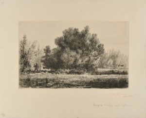 Dans la prairie à Montgeron