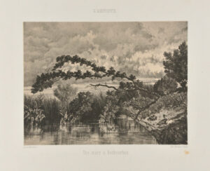 Une Mare à Rochecorbou