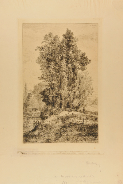 Les Bords du Sichon à Vichy