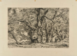 Châtaigneraie à Royat