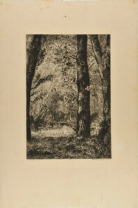 Troncs d’arbres à Croissy