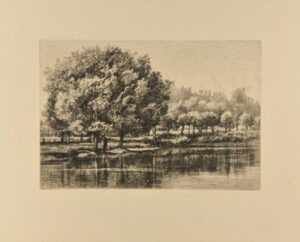 Île Amère in Montgeron