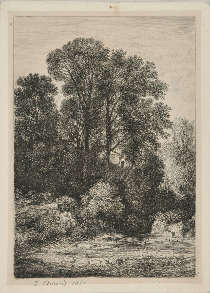 GROUP OF TREES