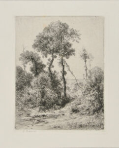 Motif d’Arbres en Hauteur